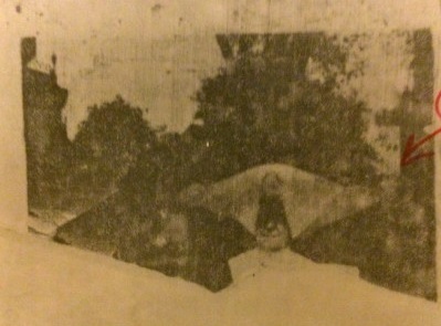 8f70db68-427f-4f48-83b3-18bca95b4785