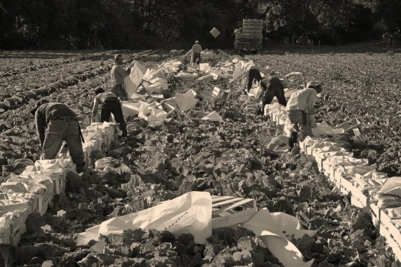 sem-516418-_l8b2215-20130619