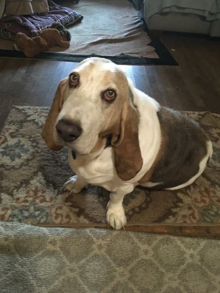 23319399_10214587525865611_1591498690775319867_n