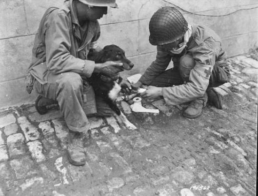 e187545c7daf36834c1d1c62c6819356