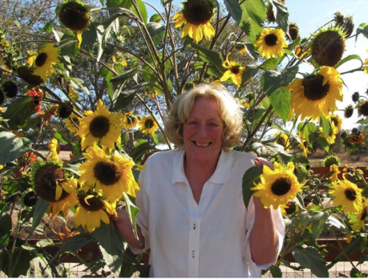 Screen Shot 2019-04-30 at 5.50.18 AM