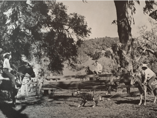 Screen Shot 2019-05-06 at 8.13.48 AM